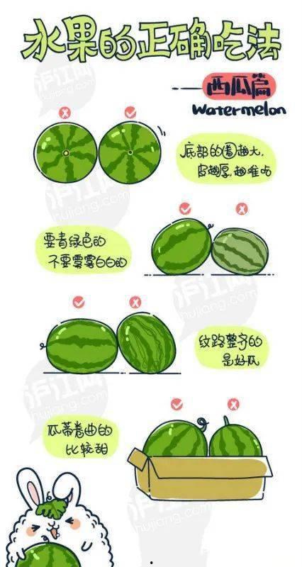传纸条高级方法吃瓜娱乐,轻松吃瓜娱乐，畅享欢乐时光