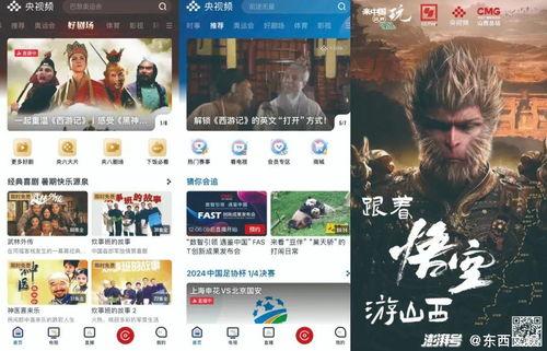 国产视频精品视频